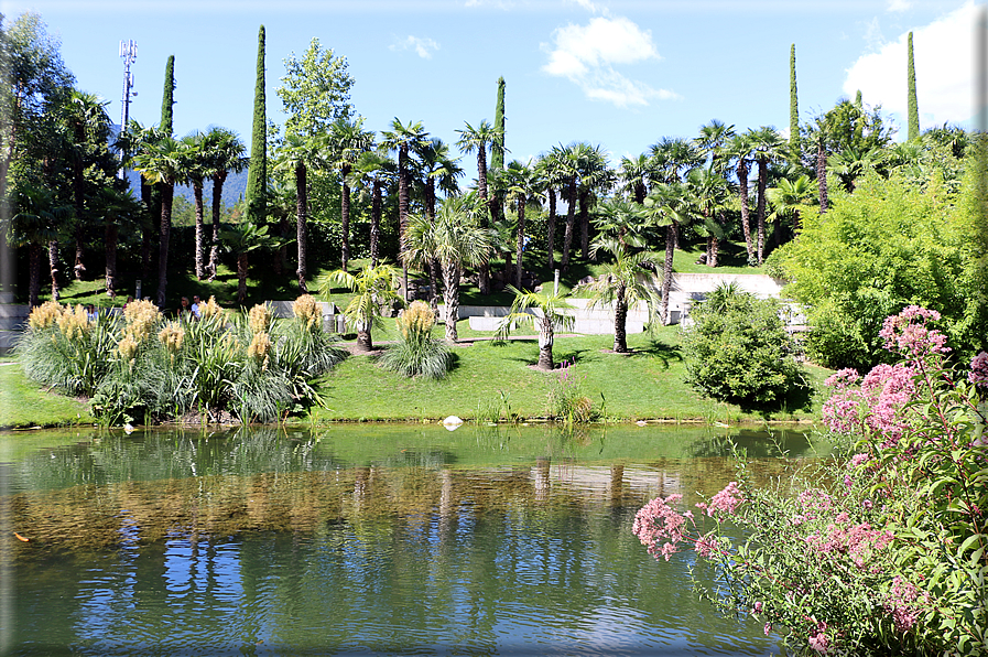 foto Giardini Trauttmansdorff - Giardini acquatici